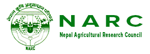 NARC WEBMAIL Logo